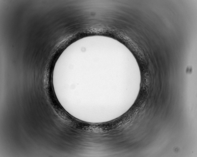 X0000103420640200810101020