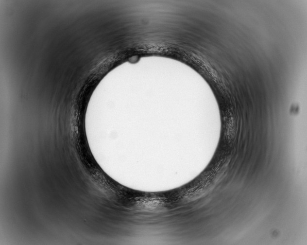 X0000103420643200810101020