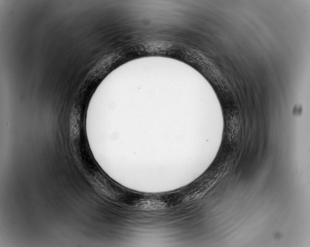 X0000103420644200810101020