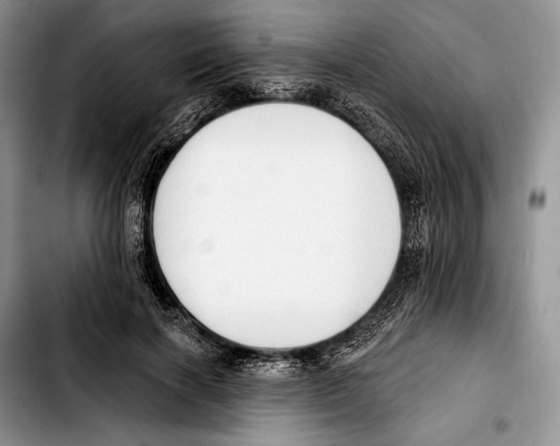 X0000103420646200810101020