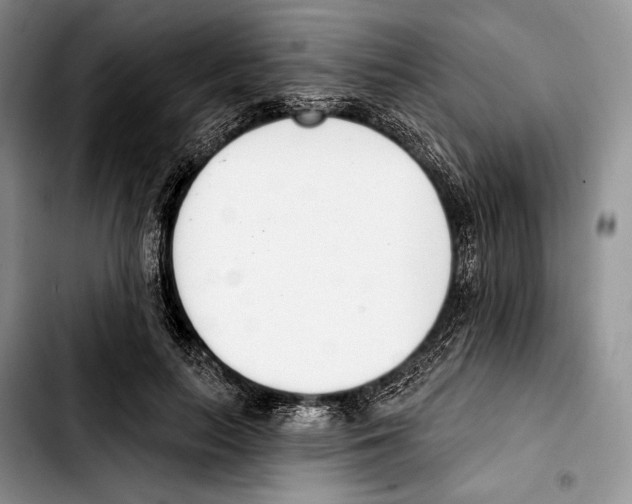 X0000103420647200810101020
