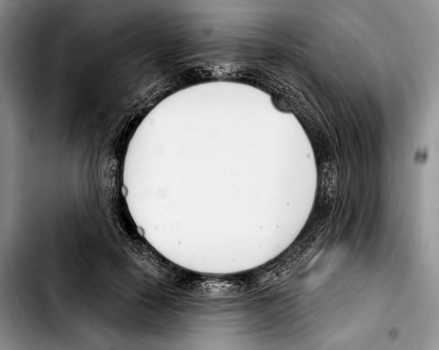 X0000103420650200810101020
