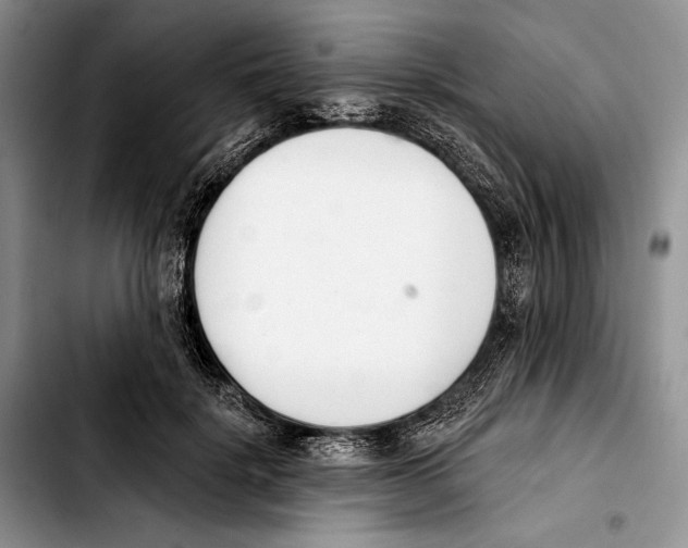 X0000103420652200810101020