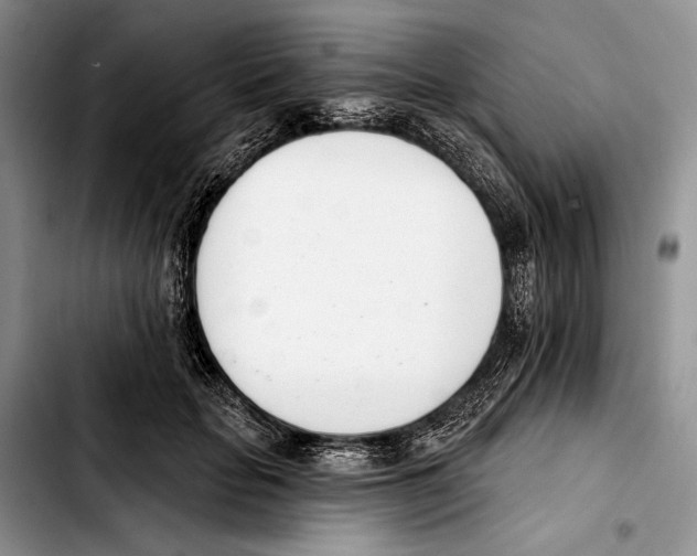 X0000103420653200810101020