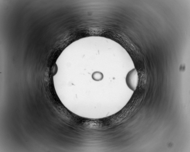X0000103420655200810101020