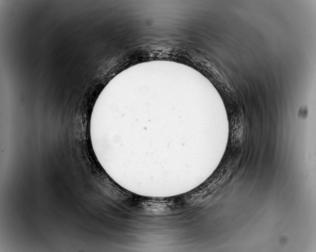 X0000103420661200810101020