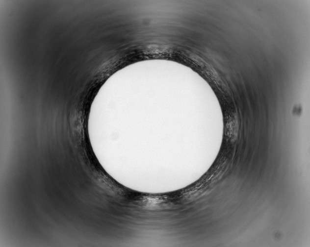 X0000103420662200810101020