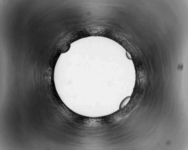 X0000103420664200810101020