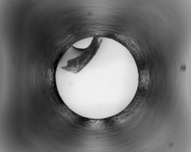 X0000103420667200810101020
