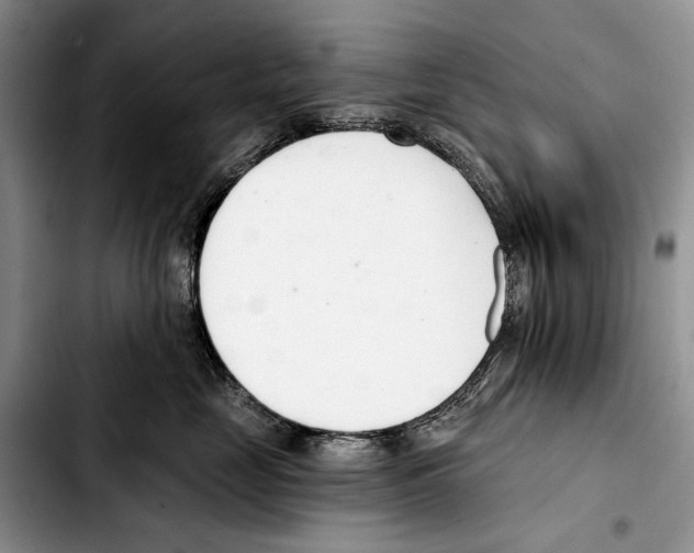 X0000103420669200810101020