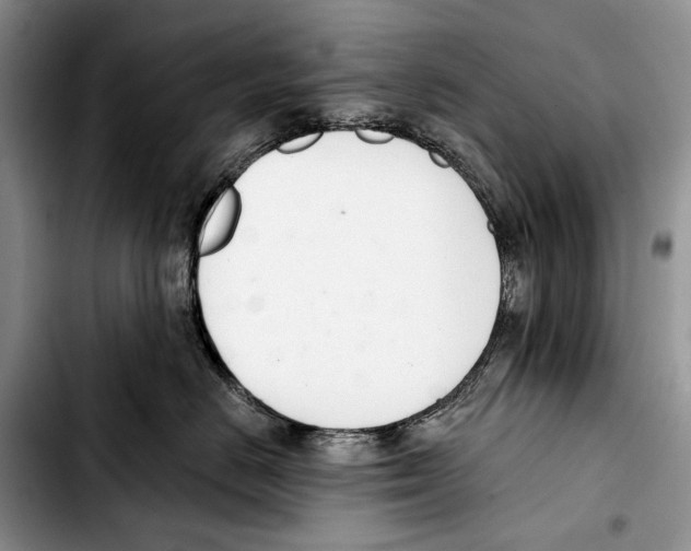 X0000103420670200810101020