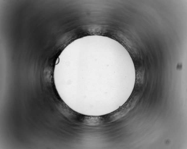 X0000103420671200810101020