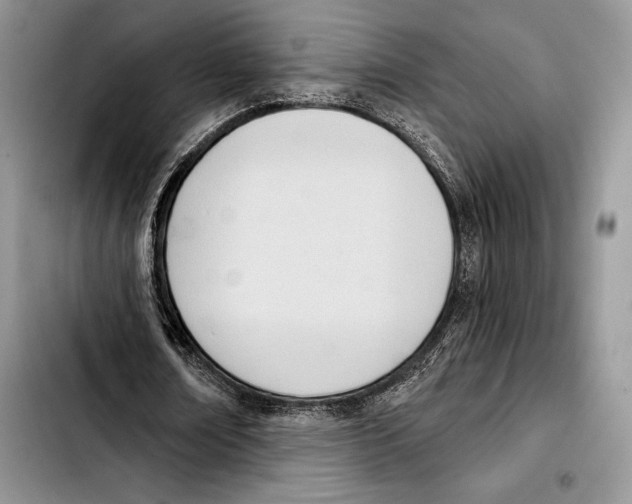 X0000103420674200810101019