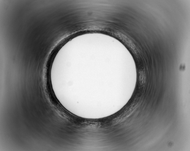 X0000103420676200810101019