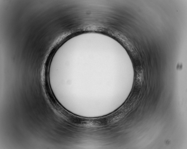 X0000103420678200810101019