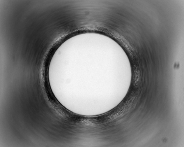 X0000103420680200810101019
