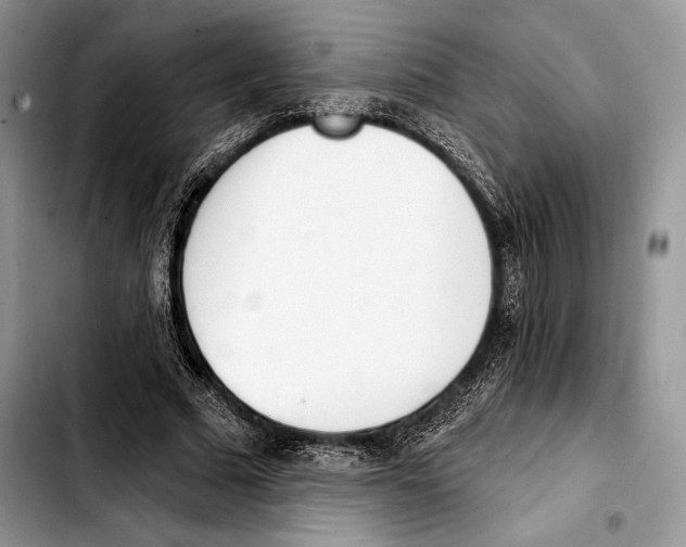 X0000103420681200810101019