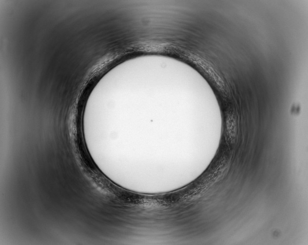X0000103420682200810101019