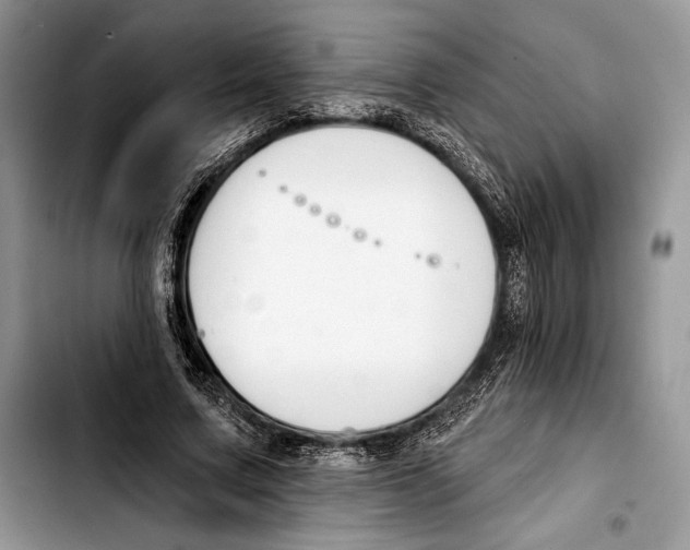 X0000103420683200810101019