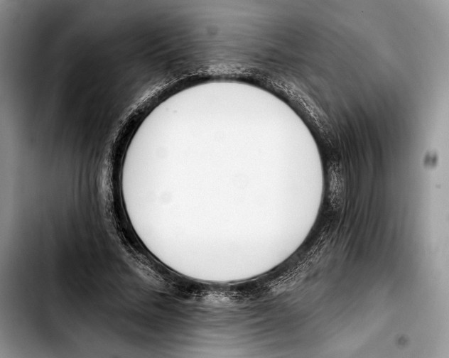 X0000103420684200810101019