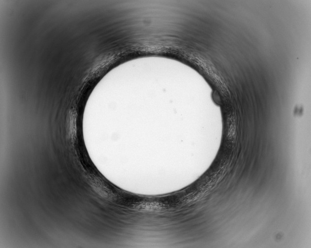 X0000103420685200810101019
