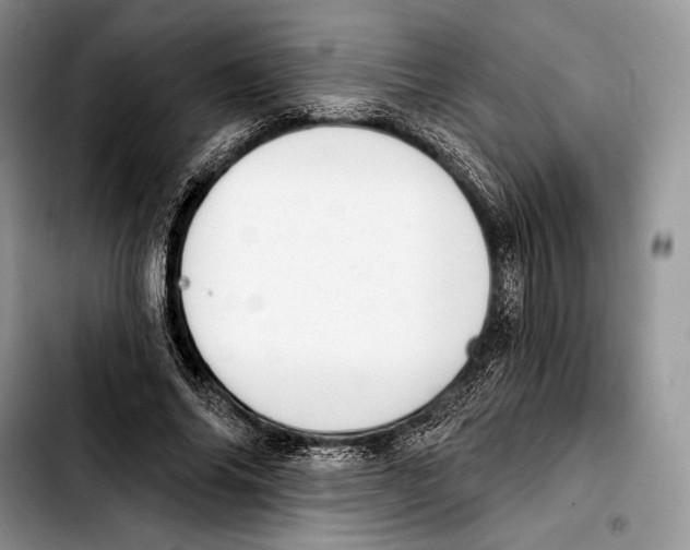 X0000103420686200810101019