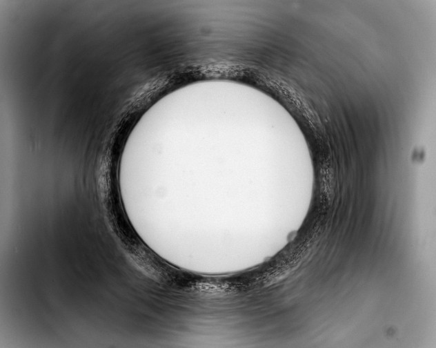 X0000103420690200810101019