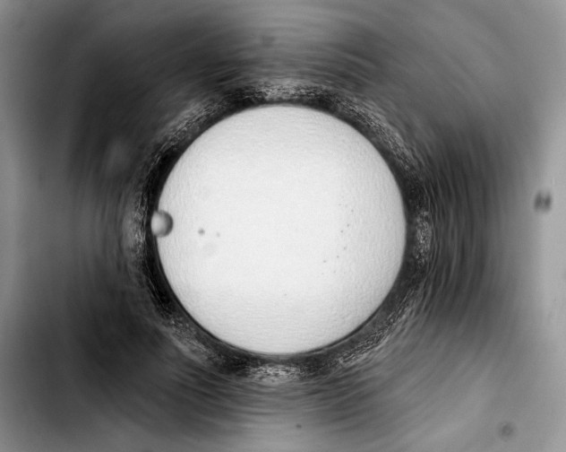 X0000103420691200810101019