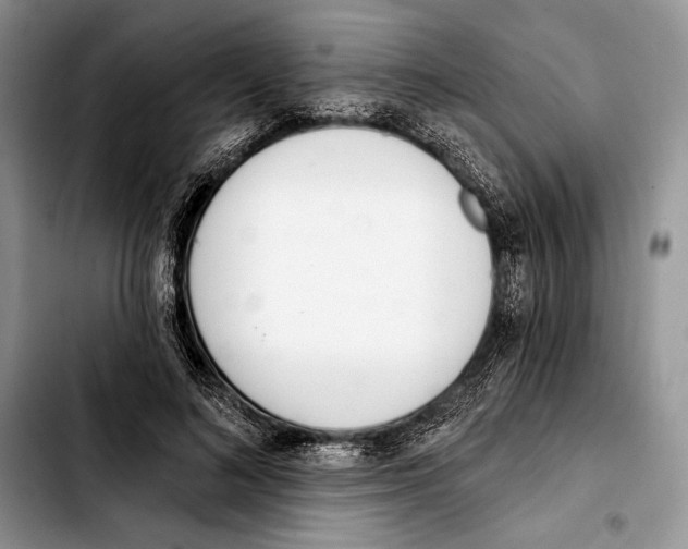 X0000103420692200810101019