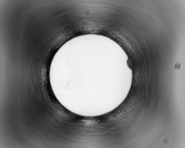 X0000103420693200810101019
