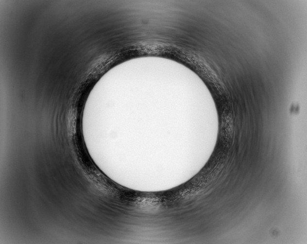 X0000103420694200810101019