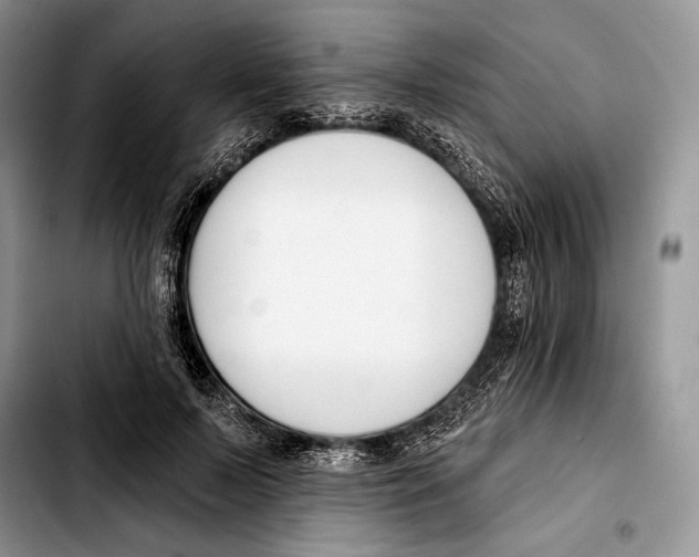 X0000103420695200810101019