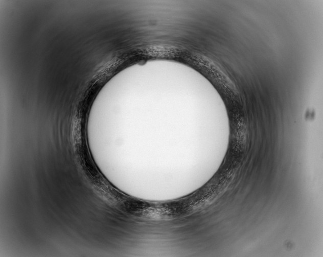 X0000103420696200810101019