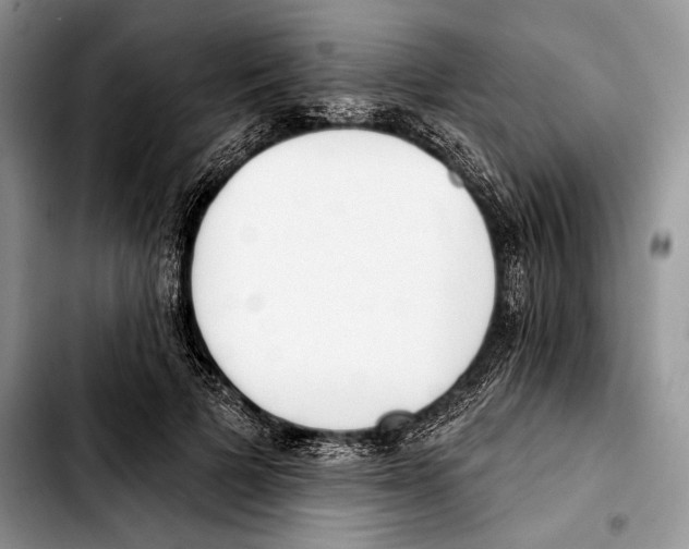X0000103420697200810101019
