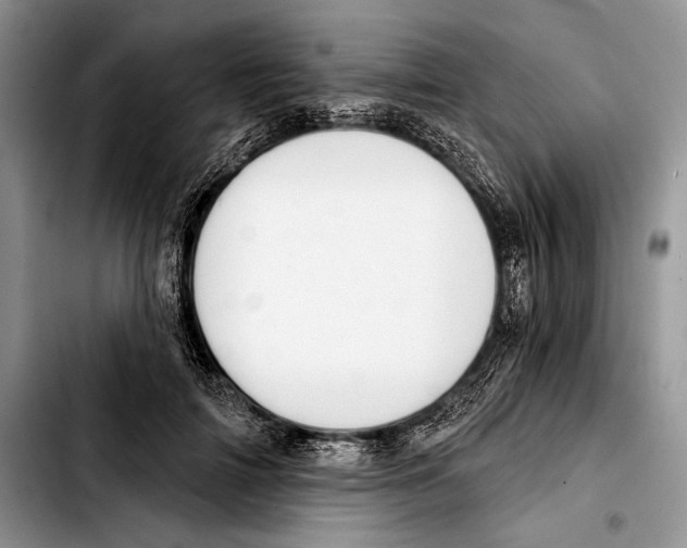 X0000103420698200810101019