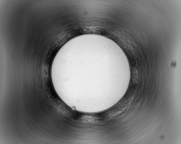 X0000103420699200810101019