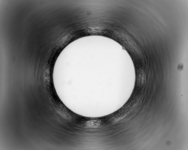 X0000103420700200810101019