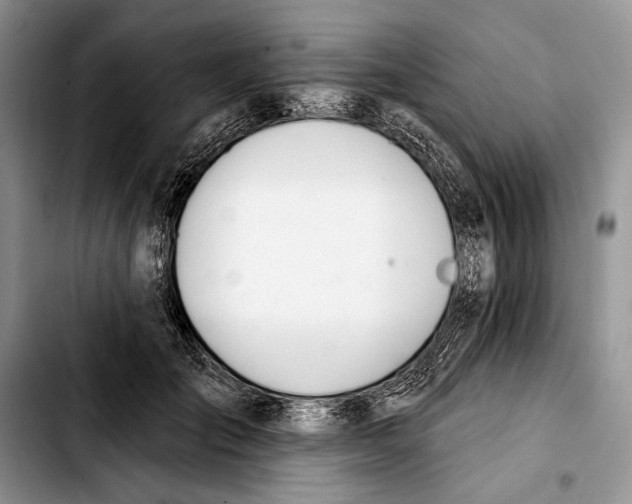 X0000103420701200810101019