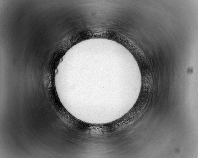 X0000103420703200810101019