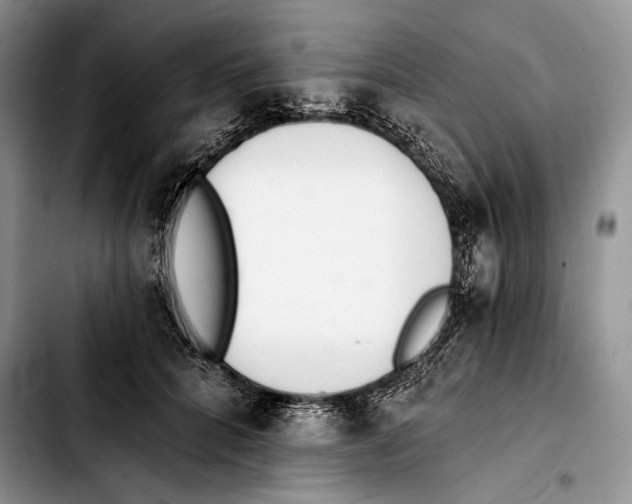 X0000103420704200810101019