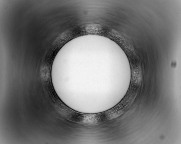 X0000103420705200810101019
