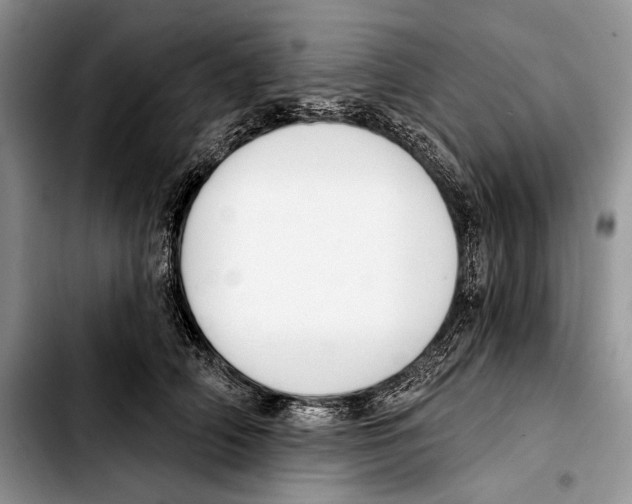 X0000103420706200810101019