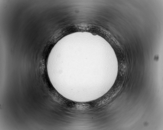 X0000103420707200810101019