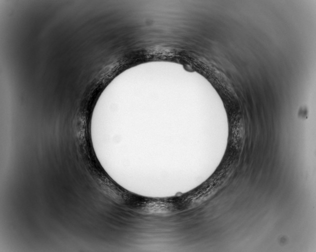 X0000103420708200810101019
