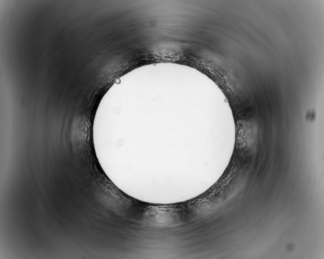 X0000103420713200810101019