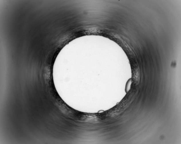 X0000103420715200810101019