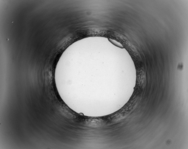 X0000103420716200810101019