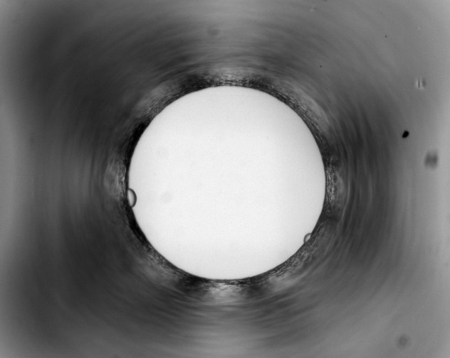 X0000103420718200810101019