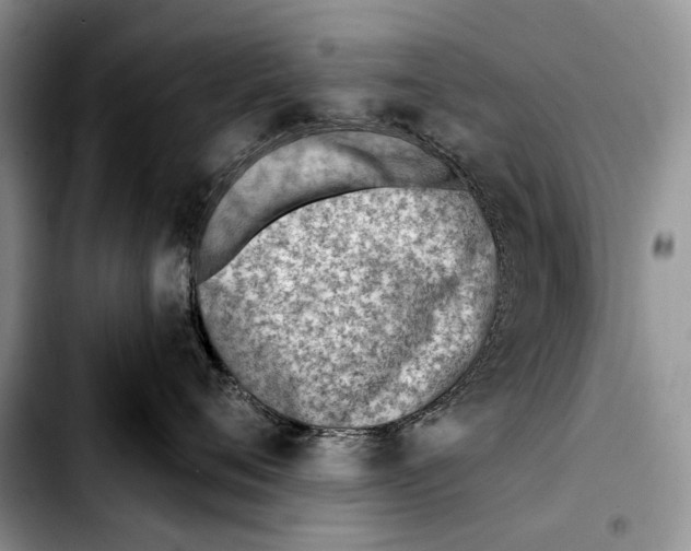 X0000103420720200810101019