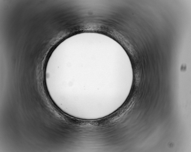 X0000103420721200810101018